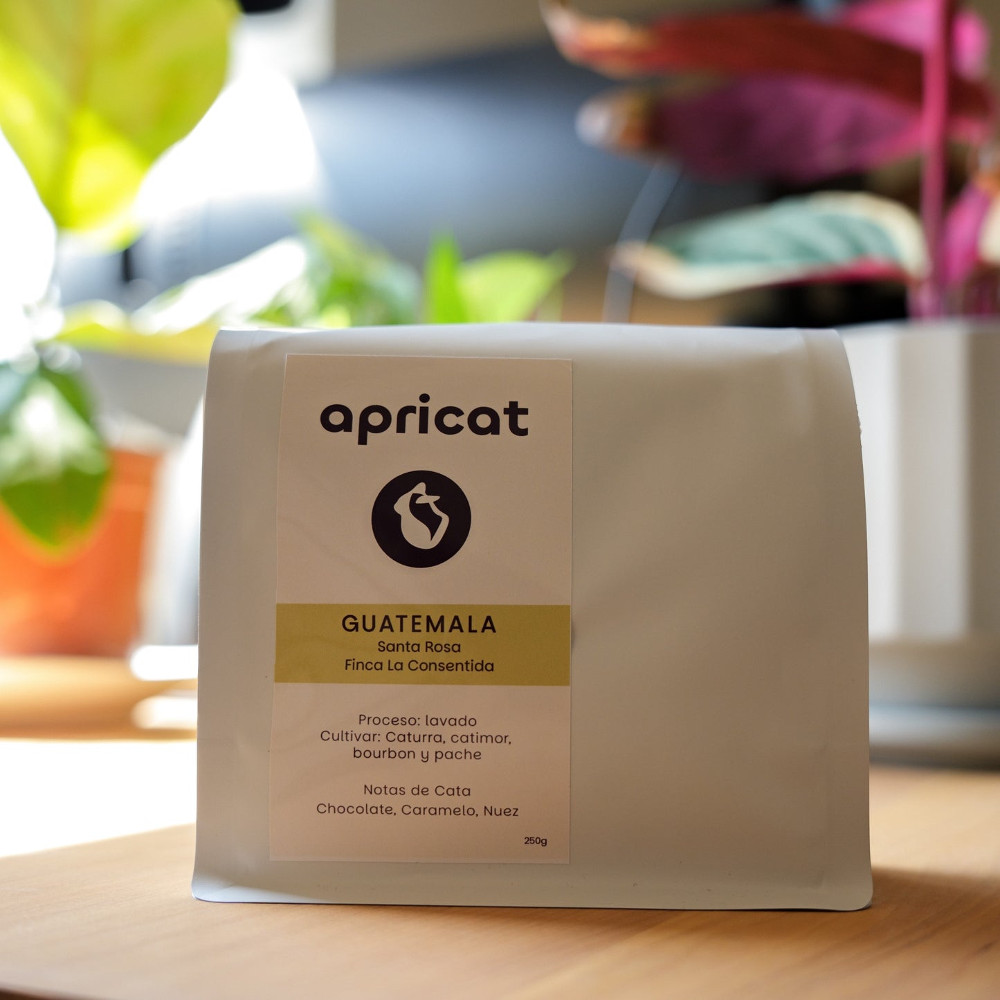 GUATEMALA - FINCA LA CONSENTIDA