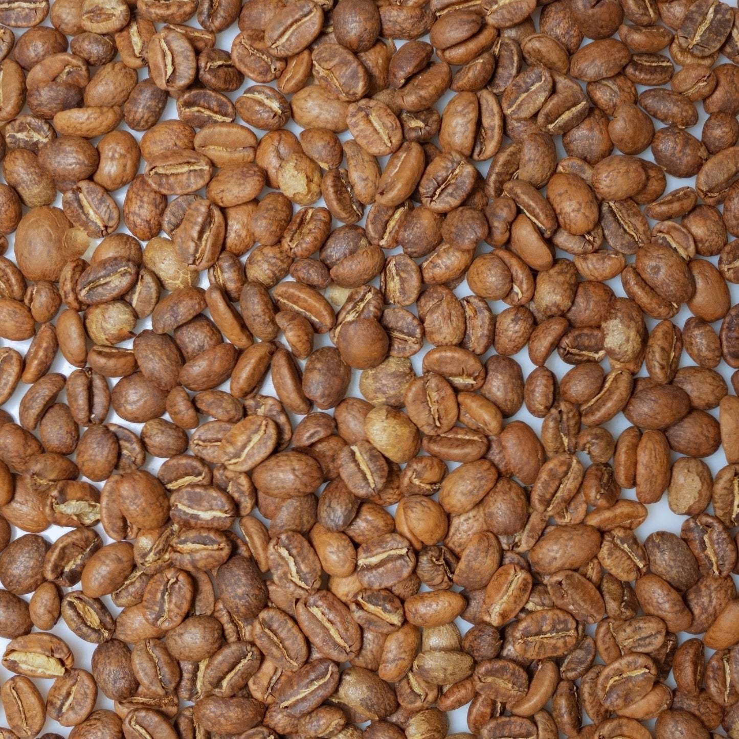 ESPECIAL - COLOMBIA - SAN GABRIEL - BOURBON CHIROSO