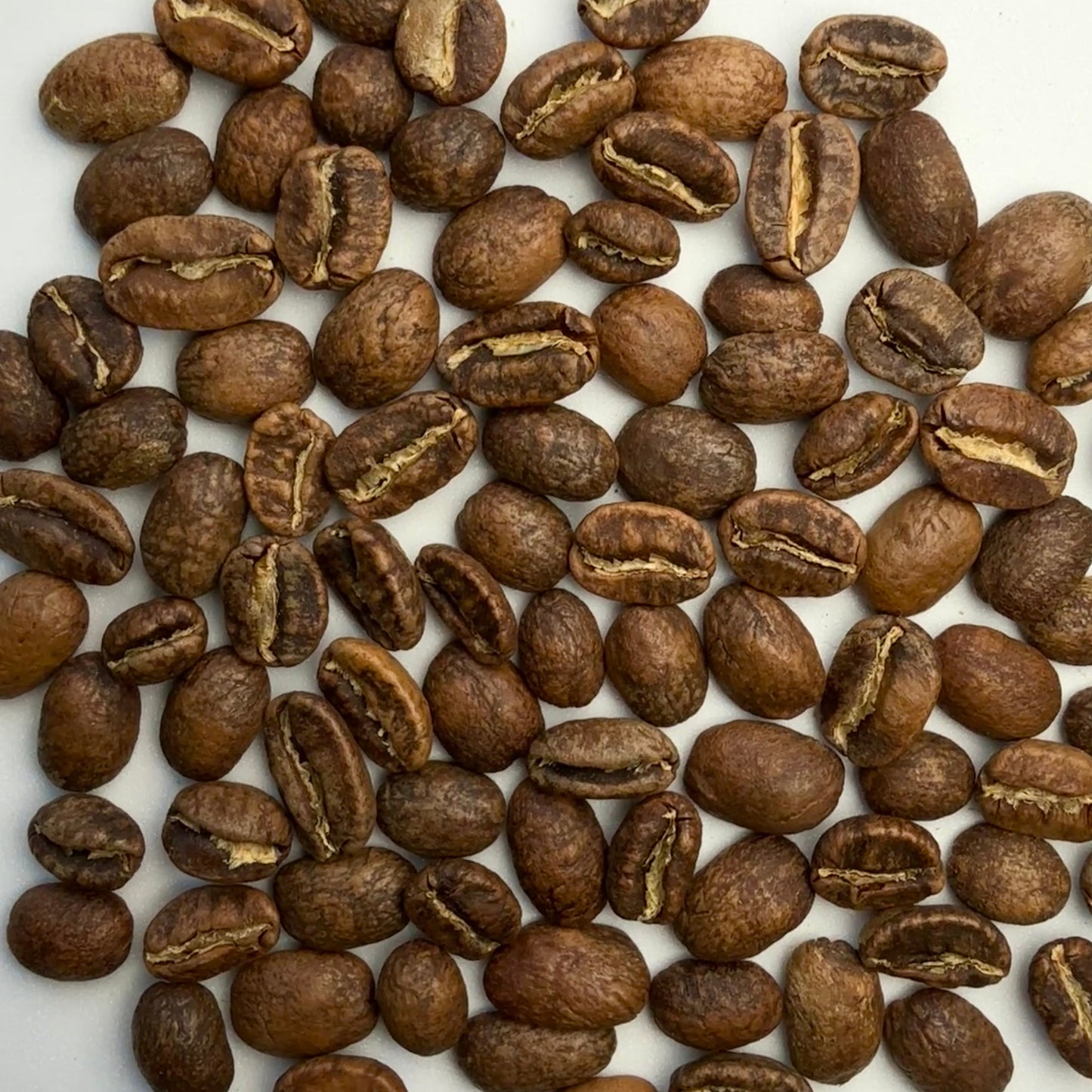 SL-28 - LAVADO