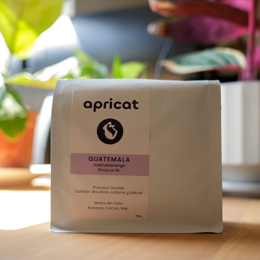 GUATEMALA - FINCA LA FÉ