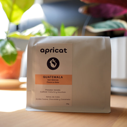 GUATEMALA - FINCA LA SOLA