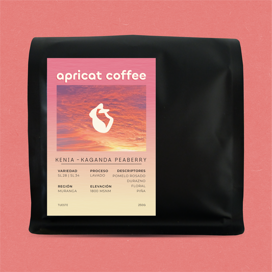 NUEVO - KENIA - KAGANDA PEABERRY