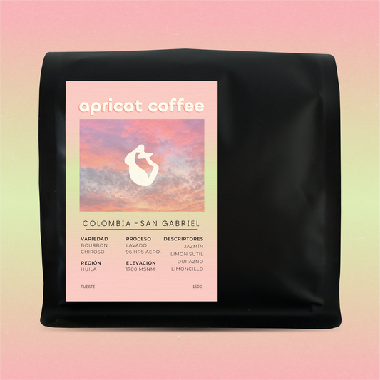 ESPECIAL - COLOMBIA - SAN GABRIEL - BOURBON CHIROSO